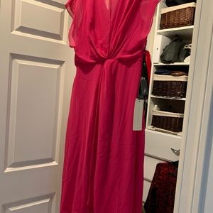 Adrianna papell Long dress